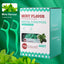 Mint dental floss stick